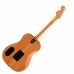 Fender Highway Series Dreadnought 電木吉他